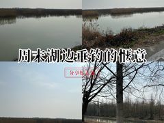 -泗洪洪泽湖湿地景区