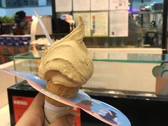 -野人先生现做冰淇淋(西安赛格店)
