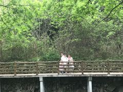 -木兰云雾山