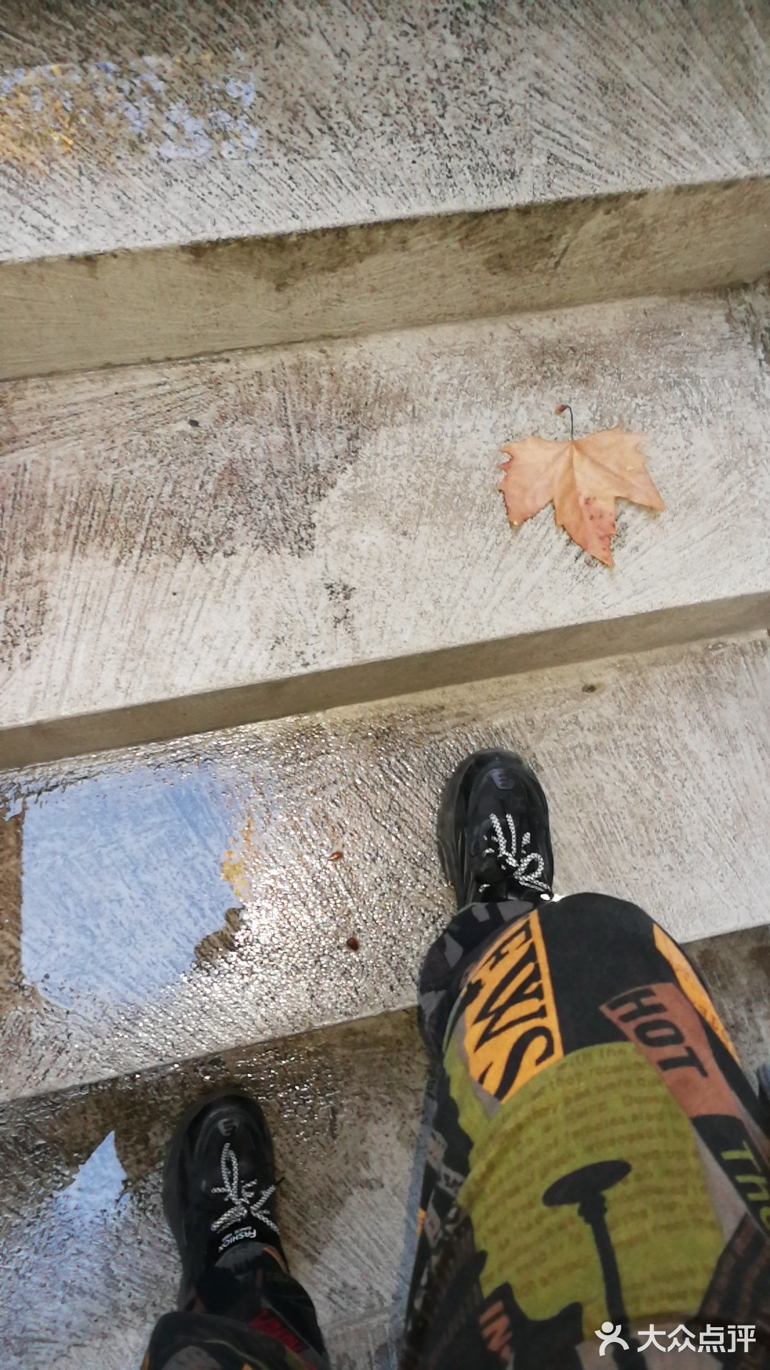 朝日唯品🐮安福路1号