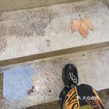 朝日唯品🐮安福路1号