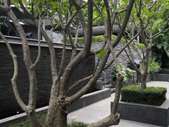 -明谷行馆·温泉