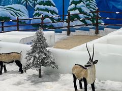-世界之窗阿尔卑斯冰雪世界