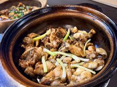 啫啫田鸡煲-红星光发煲仔饭(文海店)