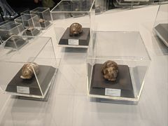 -北京周口店北京人遗址博物馆