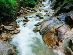 -九龙江国家森林公园