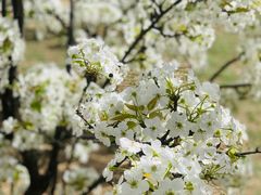 -中关村生命科学园