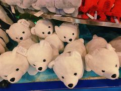 -上海海洋水族馆