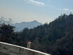 -庐山风景名胜区-东林大佛