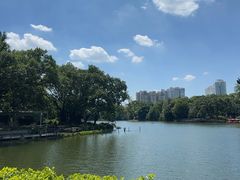 -荔湾湖公园