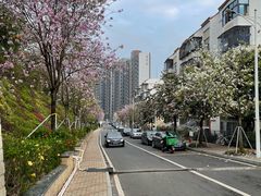 -小南山公园
