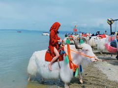 -青海湖国家重点风景名胜区