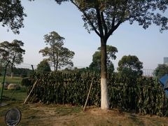 -艾溪湖湿地公园