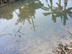 -大地农庄(逢沙大道店)