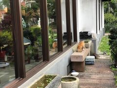-曾福兴