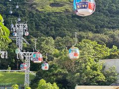 -香港海洋公园