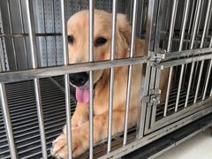 -美美酱宠物(外运路小区店)