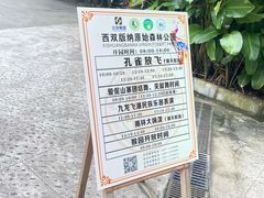 -西双版纳原始森林公园