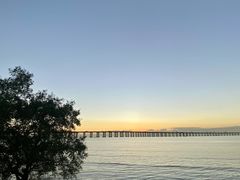 -宝安西湾红树林湿地公园