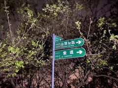 -紫金山山顶公园