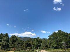 -九花山烤鸭店