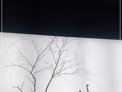 -BLACKSWAN黑天鹅(环球店)