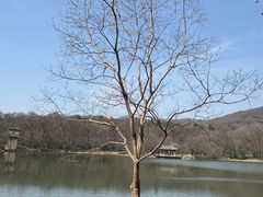 -紫霞湖公园