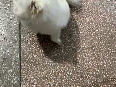 -柳州市动物园