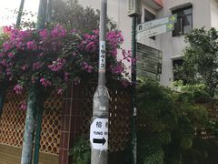 -南丫岛