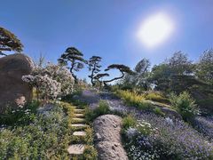 -罗红摄影艺术馆