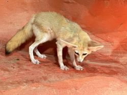 -Zoolung Zoolung动物主题公园(海信广场店)