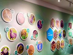 -陕西自然博物馆