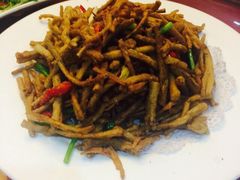 新龙源大酒店-新龙源大酒店(热河路店)