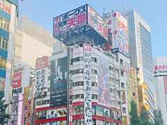-秋叶原电器街