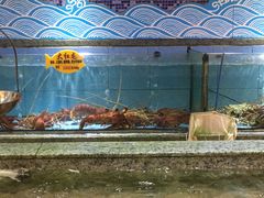 -快乐海鲜城(虎泉街店)