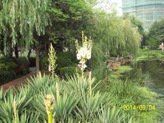 -南通濠河风景名胜区