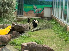-苏州太湖国家湿地公园