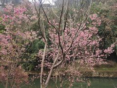 -南溪山景区