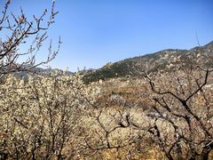-崂山九水游览区