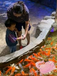 点击看大图 -宝燕乐园(闵行旗舰店)