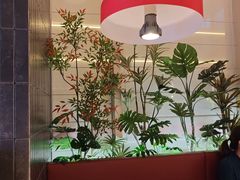 -杨氏青龙虾·吃蟹季(珠江路店)