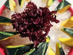 -俏牛哥鲜牛肉牛肆馆(重庆天地店)