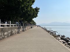 -深圳湾公园(南山区)