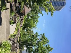 -维乐口腔医院(福清院)