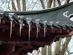 -郑和公园