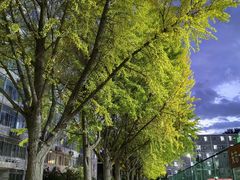 -北京理工大学(中关村校区)