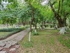 -番禺大夫山森林公园