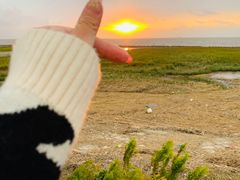 -南汇嘴观海公园