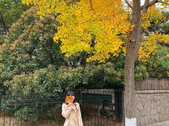 -八大关景区