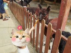 -泉州海丝野生动物世界